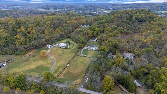 bird's eye view