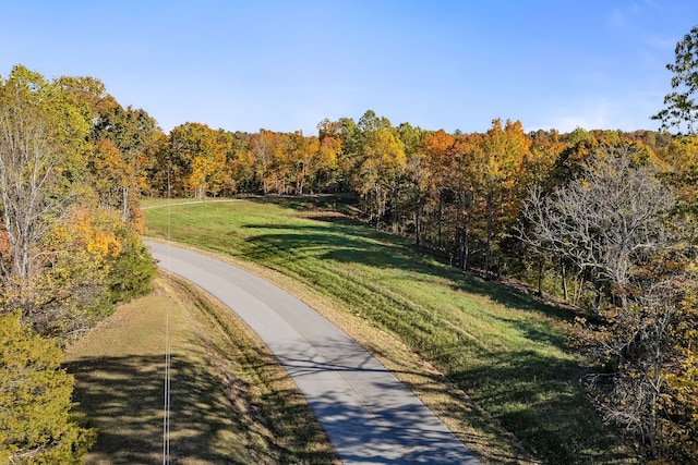 166 New Salem Rd, Gainesboro TN, 38562 land for sale