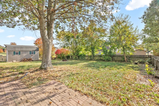 view of yard featuring a storage unit and a patio area