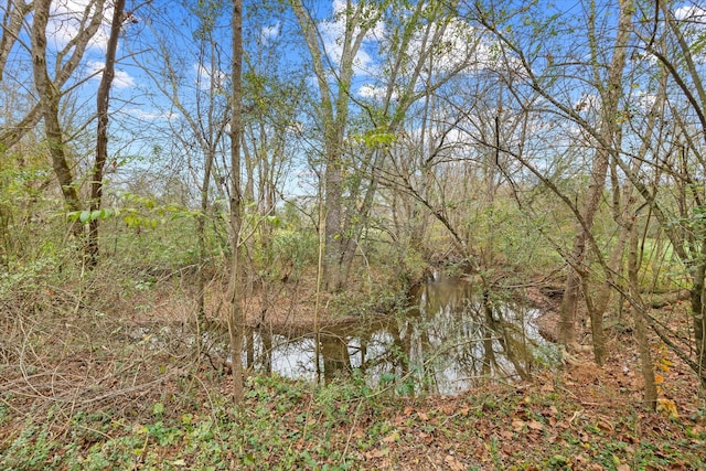 view of landscape with a water view