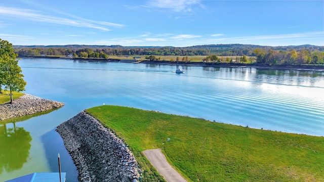 property view of water