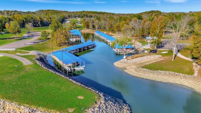 bird's eye view with a water view