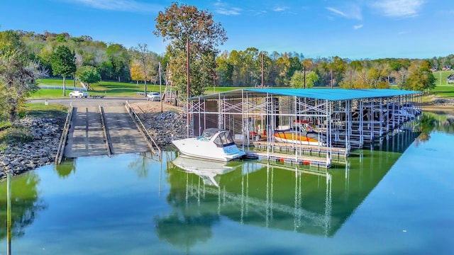 dock area with a water view