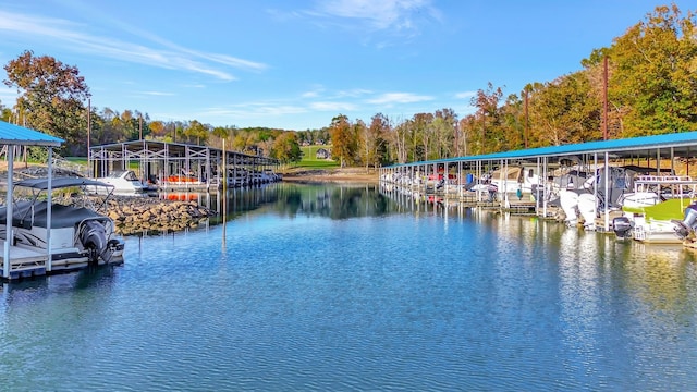 dock area featuring a water view