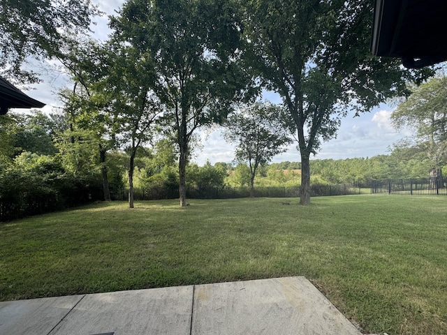 3213 Shady Forest Dr, Murfreesboro, TN 37128 - view of yard
