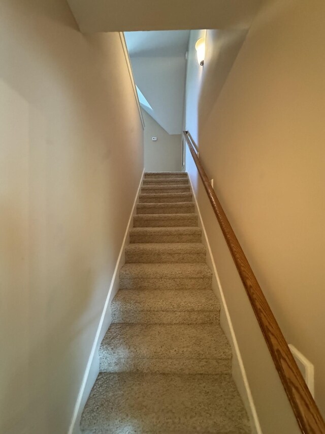 3213 Shady Forest Dr, Murfreesboro, TN 37128 - stairs with baseboards and carpet flooring