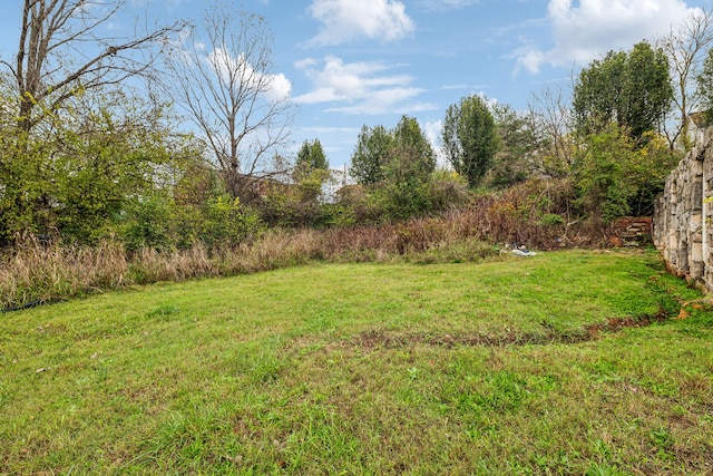 view of yard