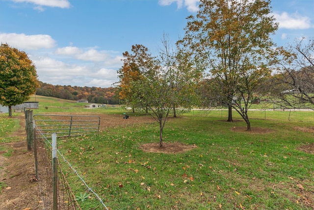 view of yard with a rural view