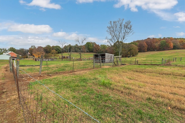 view of yard featuring a rural view