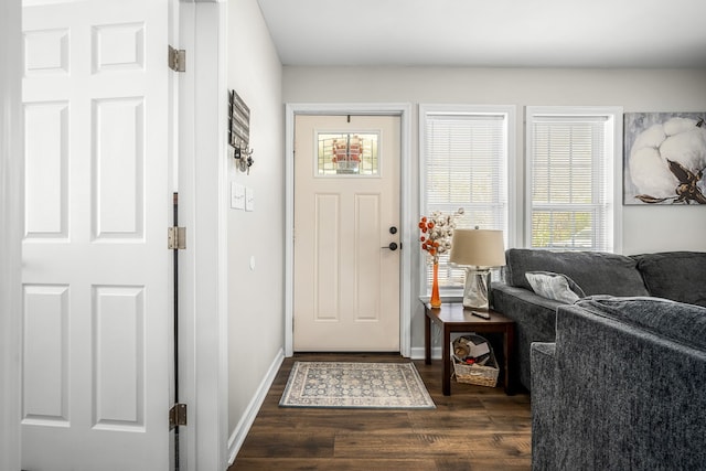 entrance foyer with dark hardwood / wood-style flooring