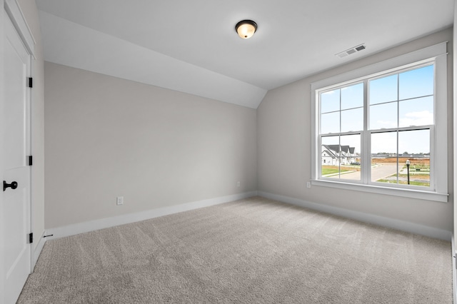 additional living space with plenty of natural light, carpet floors, and vaulted ceiling