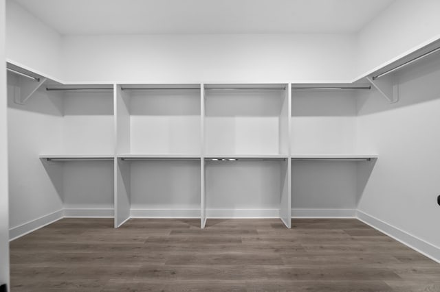 walk in closet featuring dark wood-type flooring