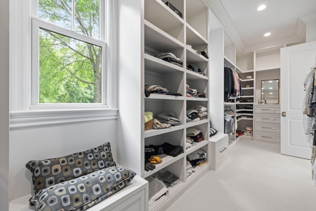 walk in closet with light colored carpet