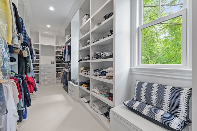 spacious closet featuring carpet