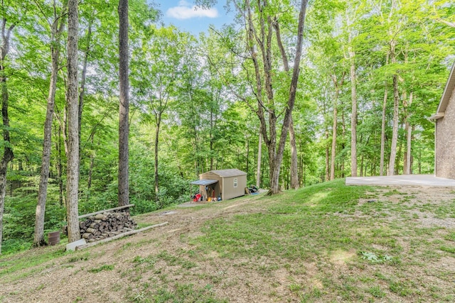 view of yard with a storage unit