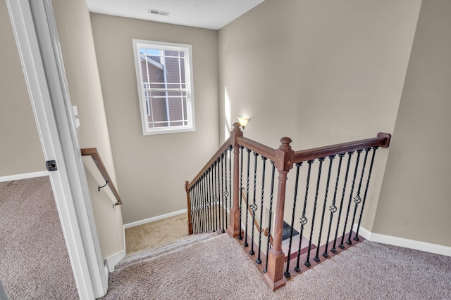 staircase featuring carpet flooring