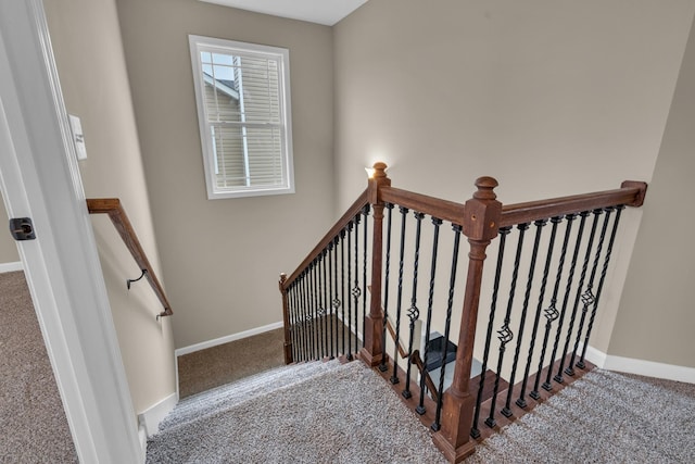 staircase featuring carpet floors