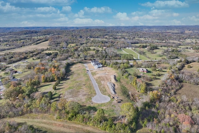 1010 Tiane Trl, Gallatin, TN 37066 - photo 5