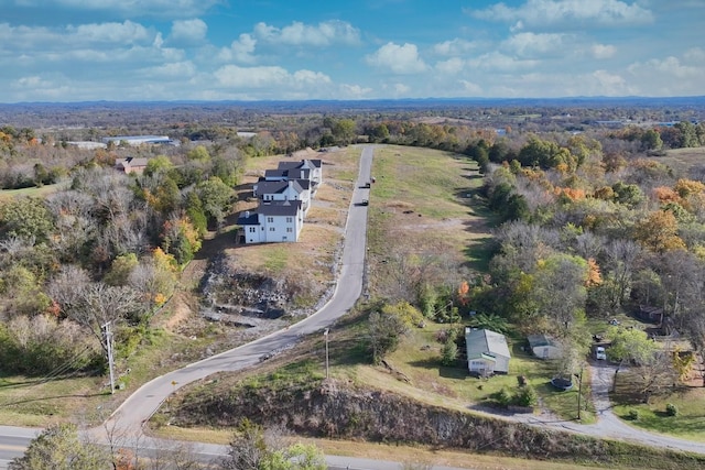 1010 Tiane Trl, Gallatin, TN 37066 - photo 2