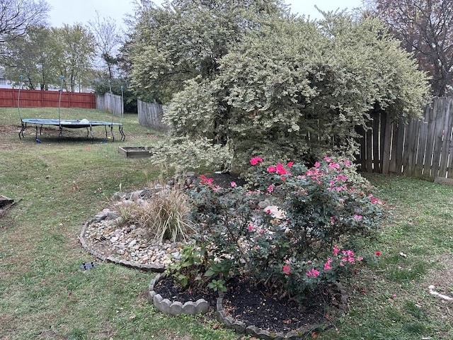 view of yard featuring a trampoline