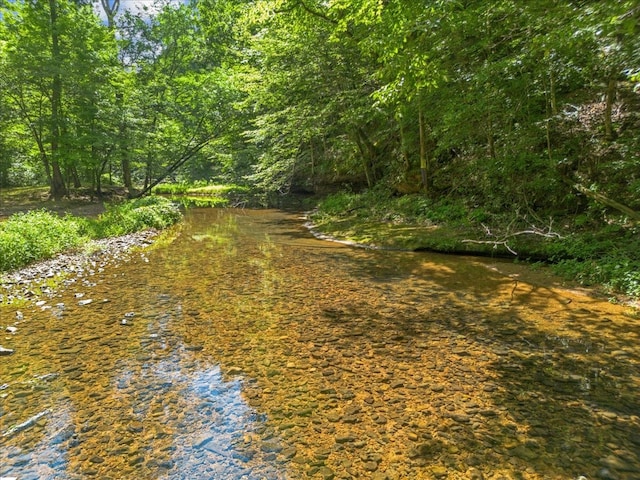 view of nature