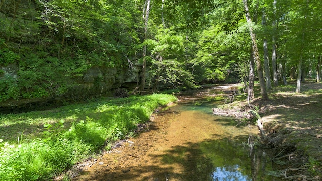 view of nature with a water view