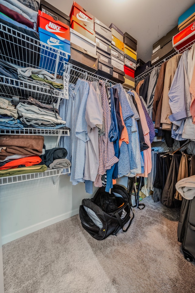 walk in closet with carpet flooring