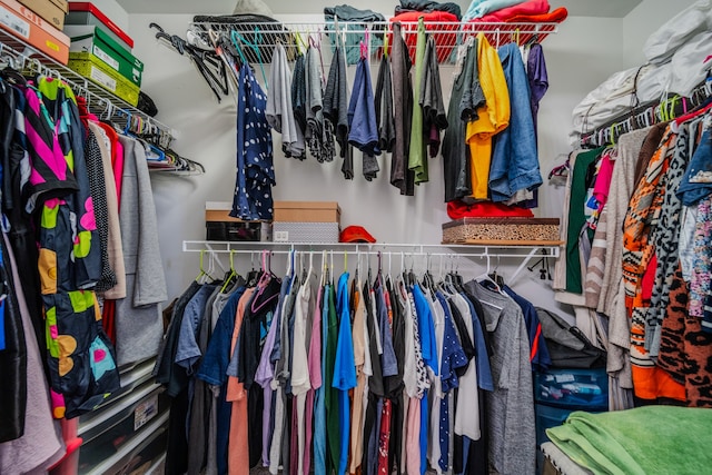 view of spacious closet