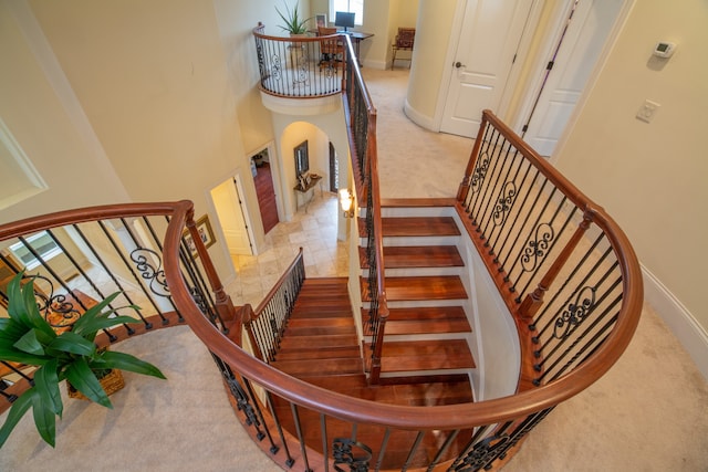 staircase featuring carpet floors