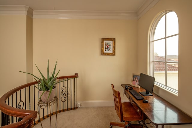 carpeted office with crown molding