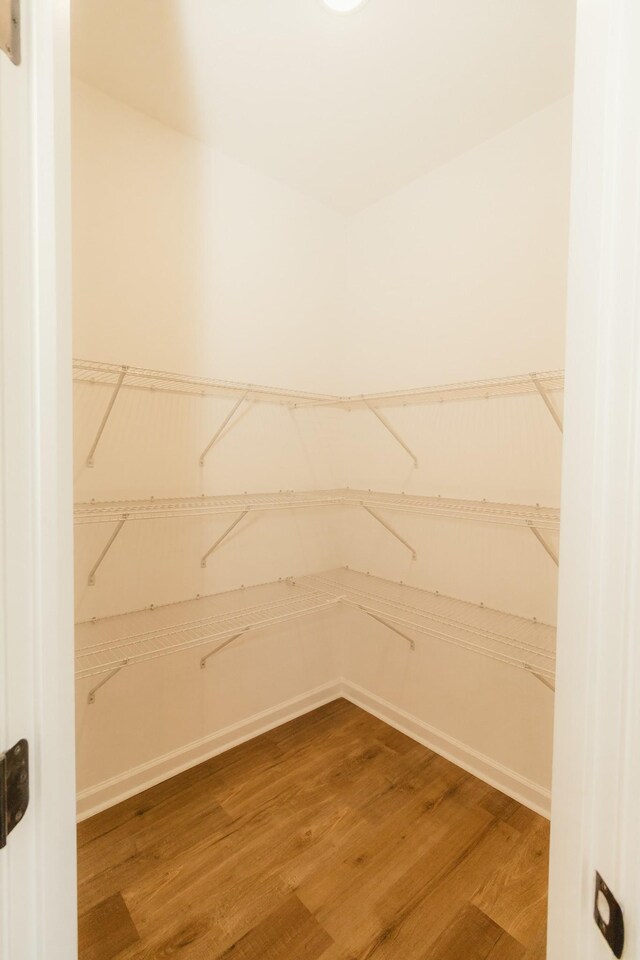 spacious closet featuring hardwood / wood-style flooring