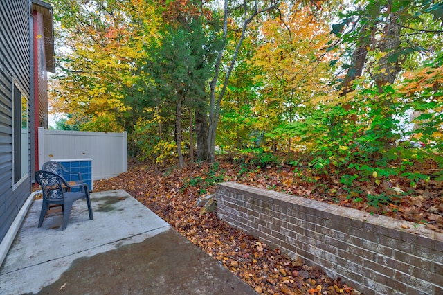 view of yard featuring a patio