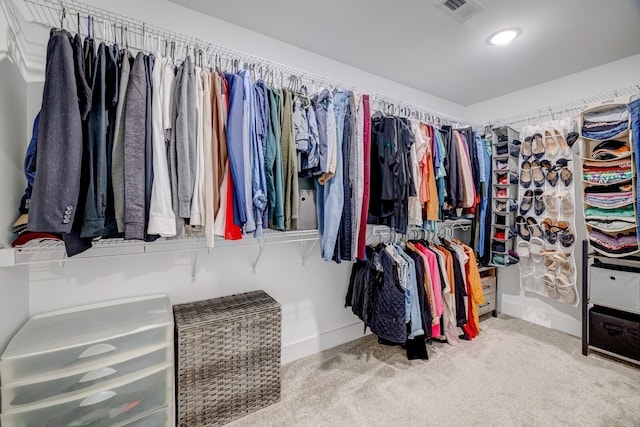 spacious closet with light carpet