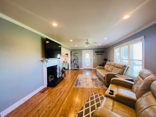 living room featuring ceiling fan, wood-type flooring, and ornamental molding