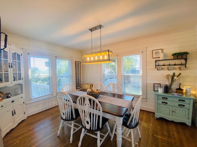 dining area featuring dark wood-type flooring, a healthy amount of sunlight, and wooden walls