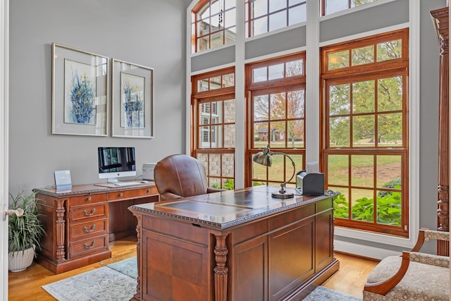 home office featuring light hardwood / wood-style floors