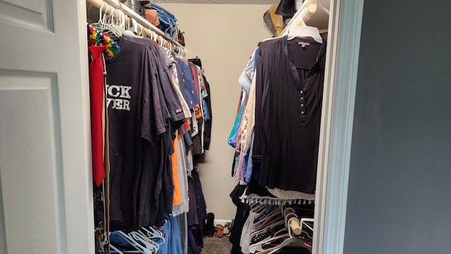 view of spacious closet