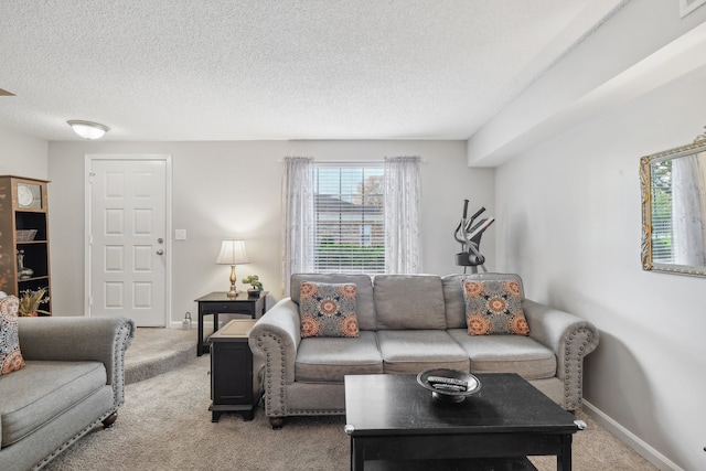 carpeted living room with a textured ceiling