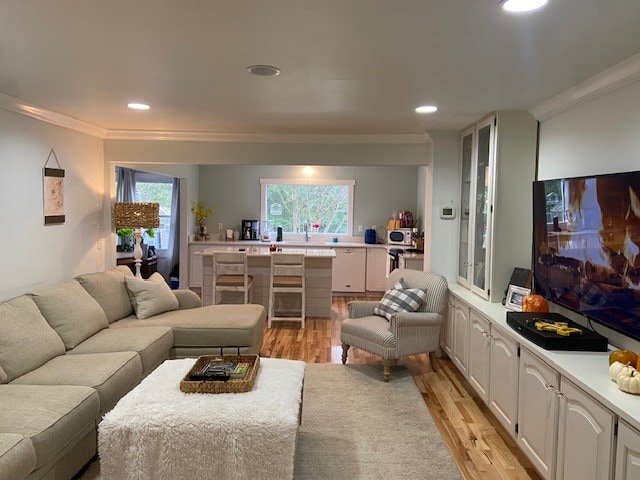 living room featuring light hardwood / wood-style floors, a wealth of natural light, and ornamental molding