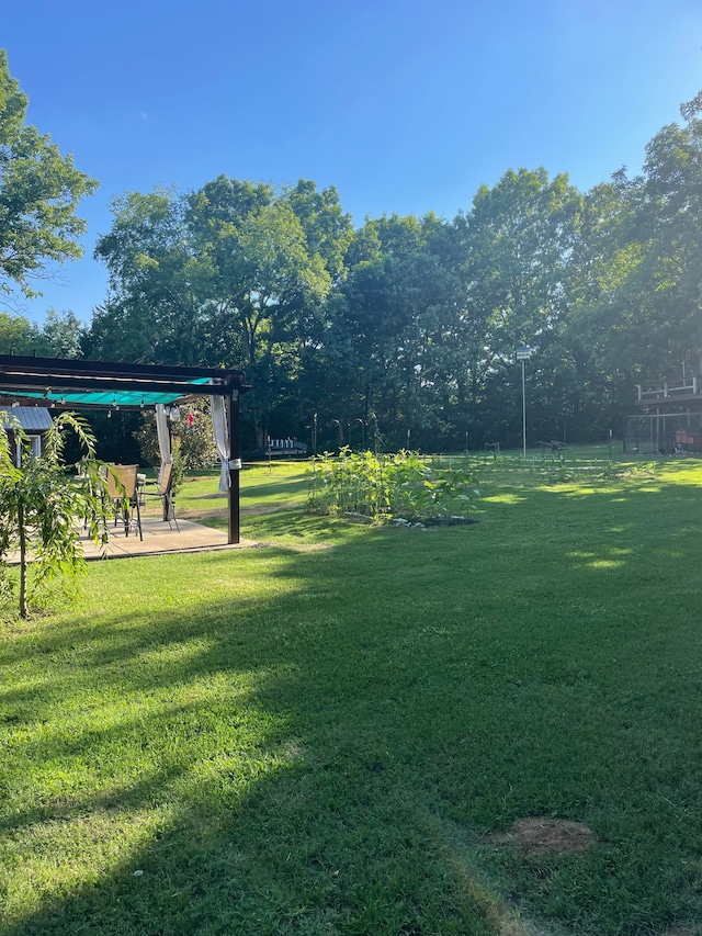 view of yard with a patio area