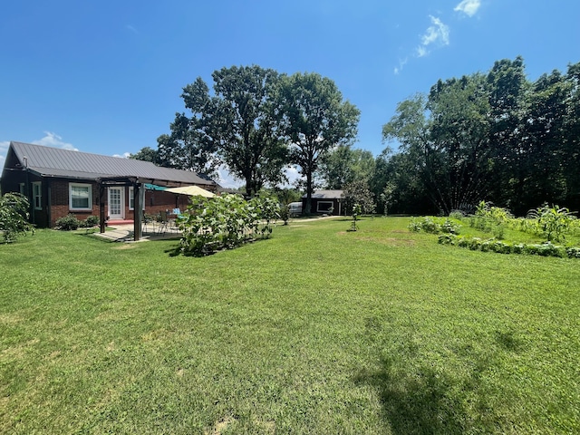 view of yard featuring a patio area