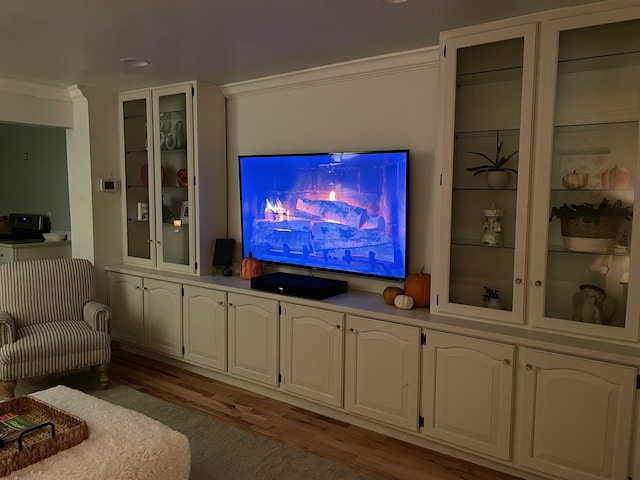 living room featuring ornamental molding and light hardwood / wood-style flooring