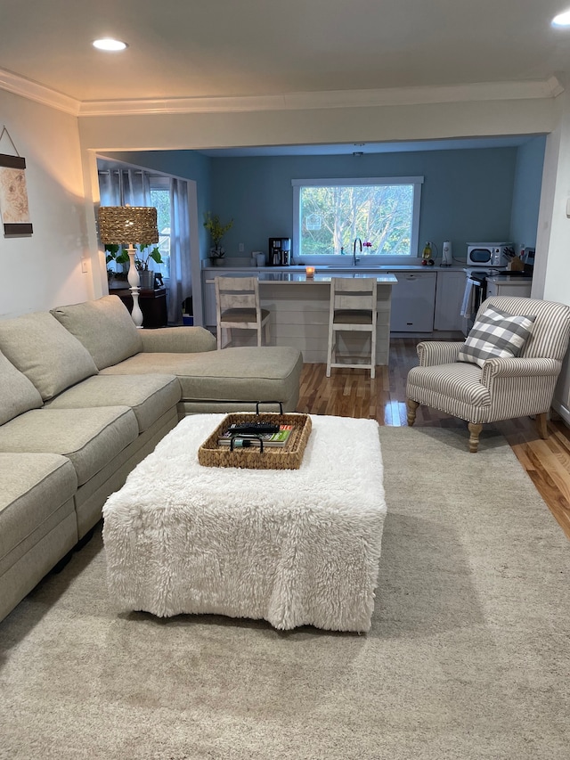 living room with ornamental molding, wood-type flooring, and sink