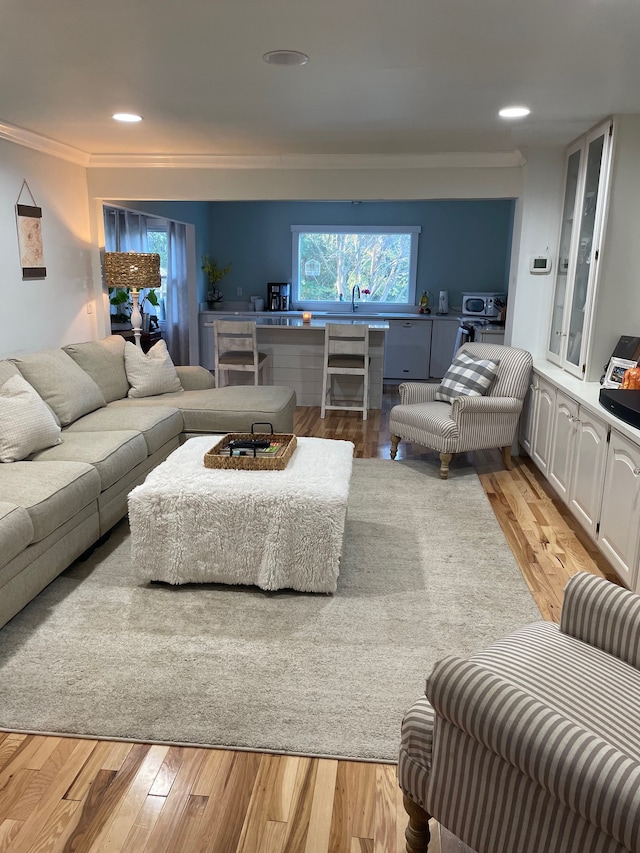 living room featuring sink, ornamental molding, and light hardwood / wood-style flooring