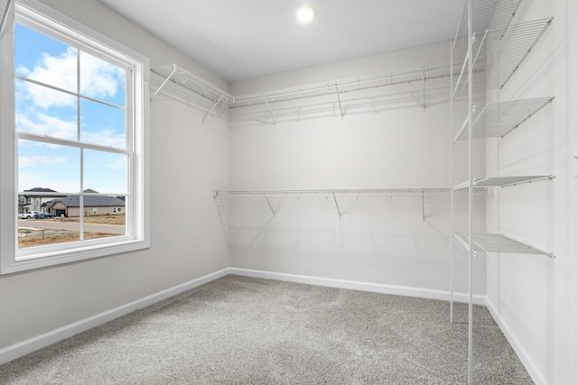 walk in closet with carpet