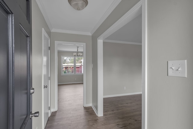 hallway with a notable chandelier, dark hardwood / wood-style floors, and crown molding