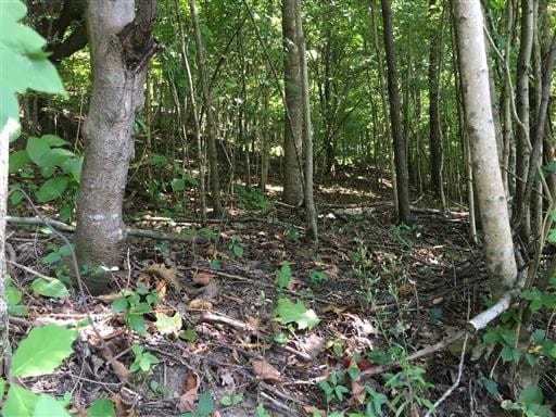 0 Old Lake Rd, Lewisburg TN, 37091 land for sale