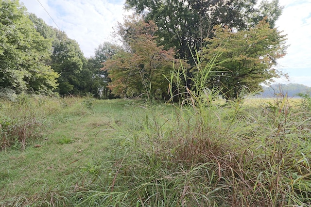 0 Central Ave, Humboldt, TN 38343 - photo 7