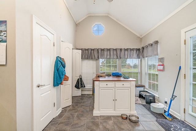 washroom with a towering ceiling and crown molding