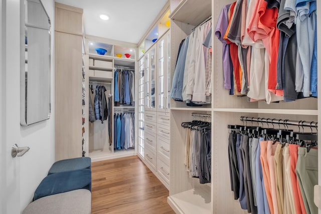 spacious closet featuring light hardwood / wood-style flooring